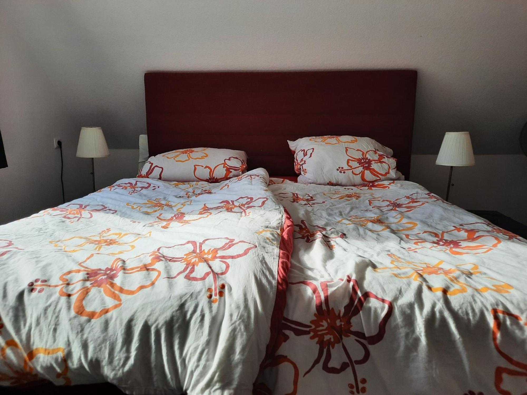 Ferienwohnung Yachthof Scheid Scheid  Luaran gambar